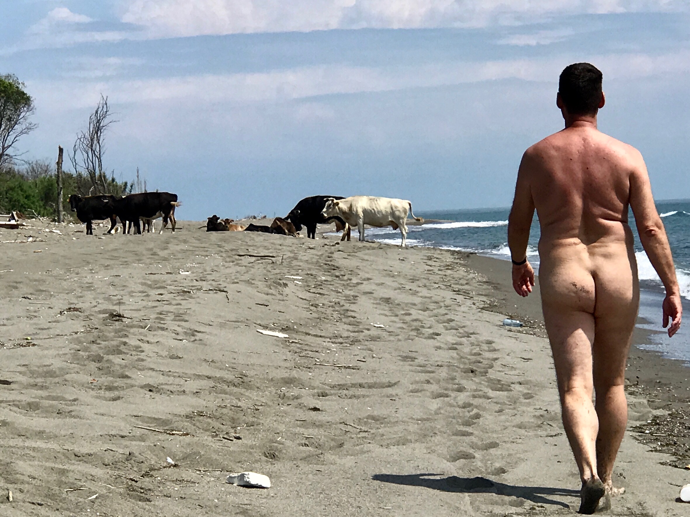 Tumblr european nudist beach