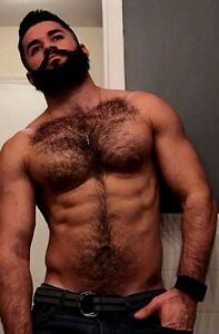 Men chested naked hairy muscle