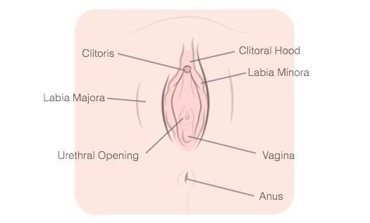 How to masturbate with a vagina