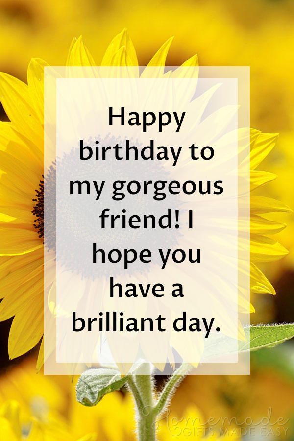 Funny happy birthday images to text message