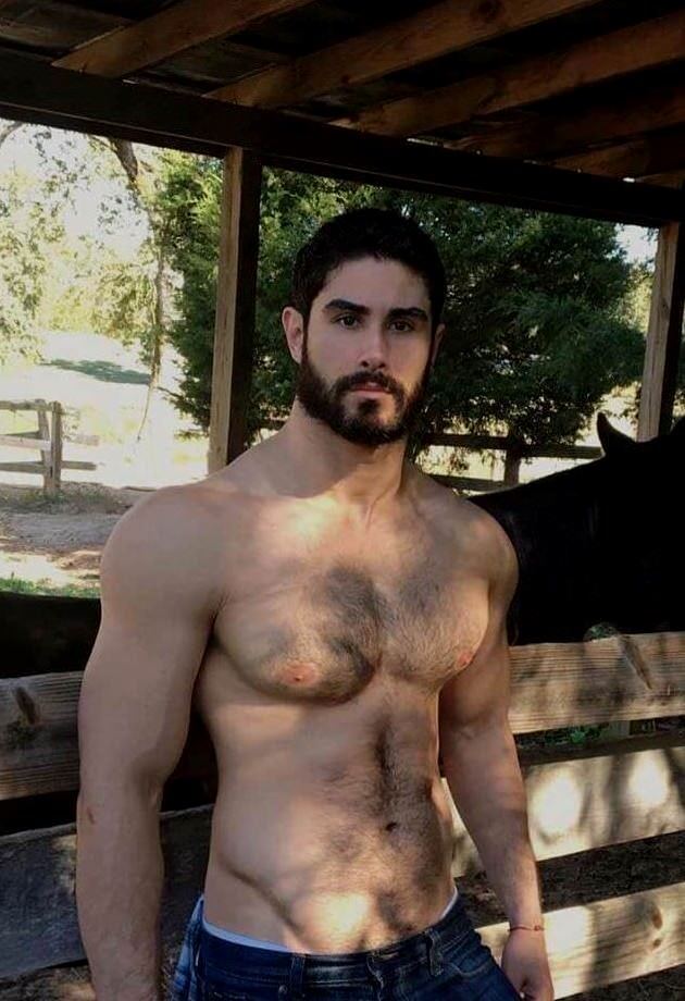 Muscles chest free hairy