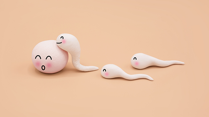 Pros and cons of sperm donors