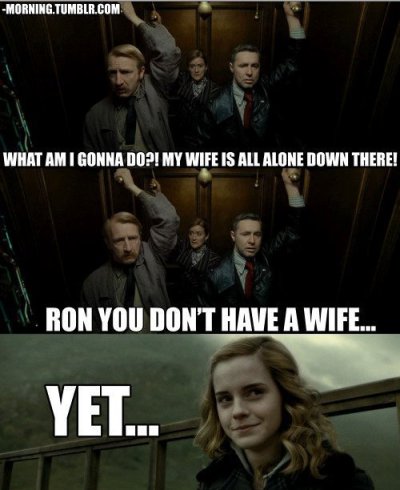 Ron hermione sex tumblr