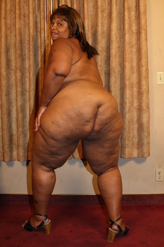 Adult. big fat black. women bbw