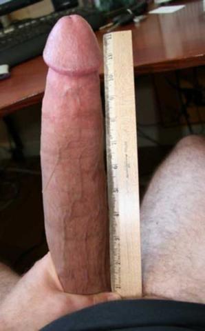 Measure largest dick porn