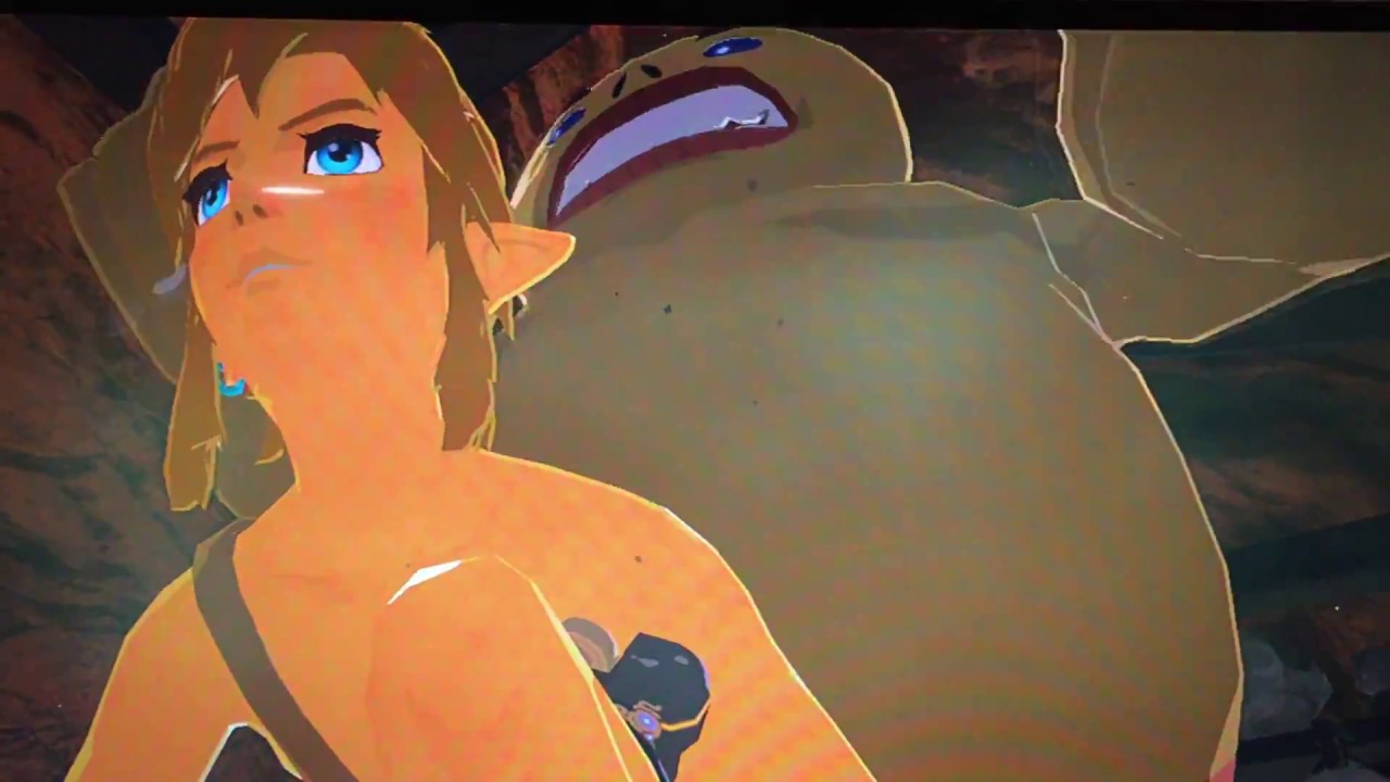 Zelda and link sex