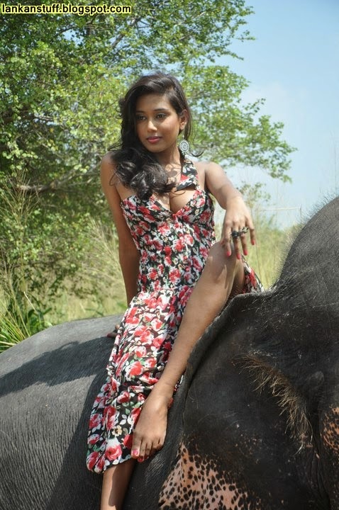Lankan photos girls sri hot