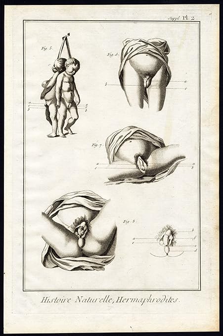 Penis in vagina drawings