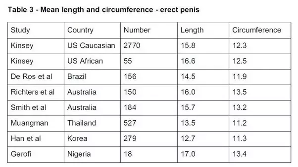 Average size penis porn star