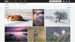 Flickr photo sharing site